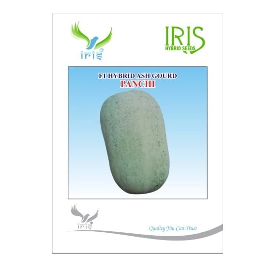 Iris Panchi F1 Hybrid Ash Gourd Seeds, Long Fruits With Vigorous Growth And Shelf Life