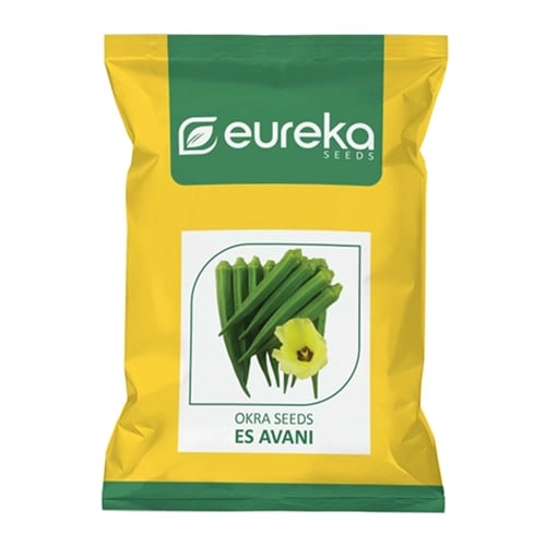 Eureka ES Avani Okra Seeds - Bhindi Seeds