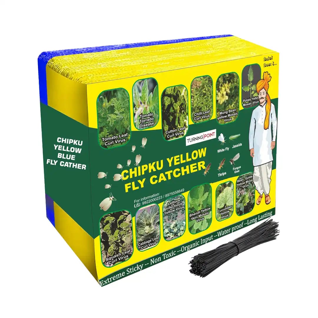 Chipku A5 Yellow & Blue Sticky Trap For Insects, For Garden & Agriculture To Control Whiteflies, Aphids, Thrips, Jassids