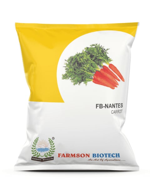 Farmson FB Nantes Carrot Seeds, Early To Mid Early Maturity, Deep Orange Color Root