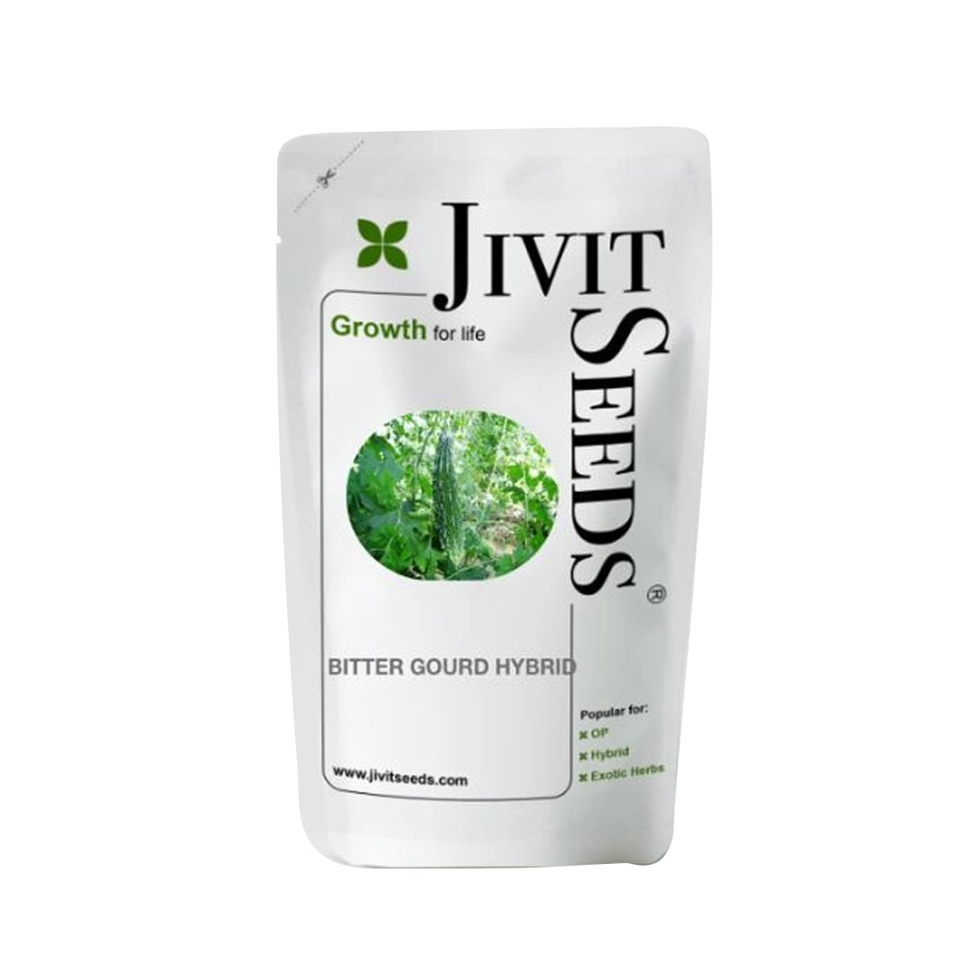 Jivit Hybrid F1 JS 7748 Bitter Gourd Seeds. Sharp Candle Drop Like Fruit with Vigorous Dark Green Colour