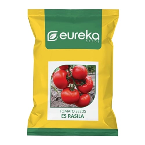 Eureka ES RASILA Improved F1 Hybrid Tomato Seeds, Vigorous Plants, High Yield Variety
