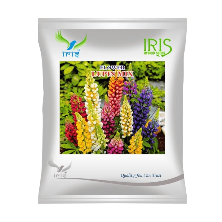 Iris Lupin Mix Hybrid OP Flower Seeds, Imported, Palm Shaped Foliage And Mixed Blooms