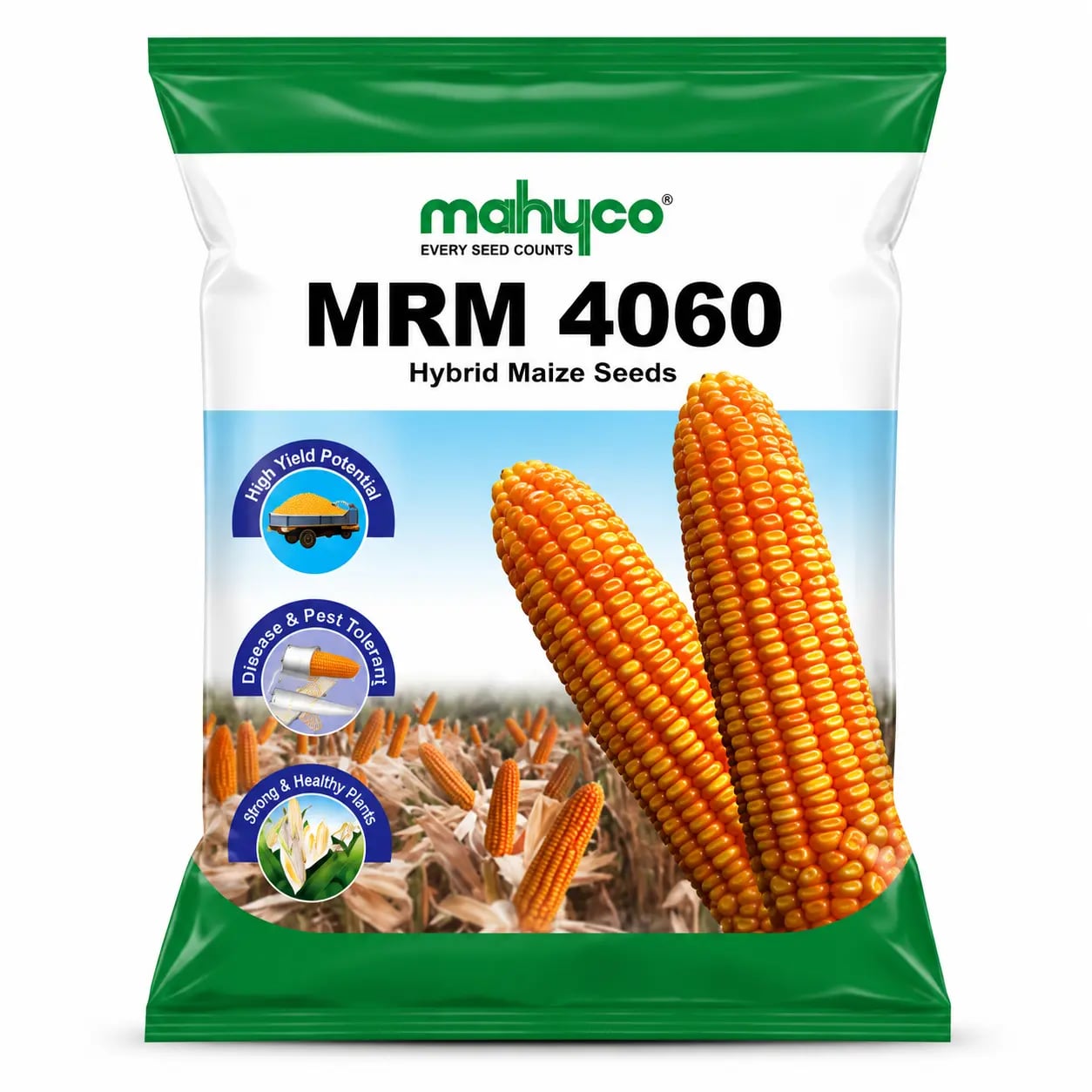 Mahyco MRM 4060 Hybrid Maize Seeds for High Yield Potential and Healthy Plants