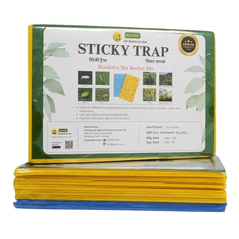 WAVAR A4 Sticky Trap, 12 x 8 Inch, 3mm Thickness, Eco Friendly (Combo Of 20 Yellow + 5 Blue)