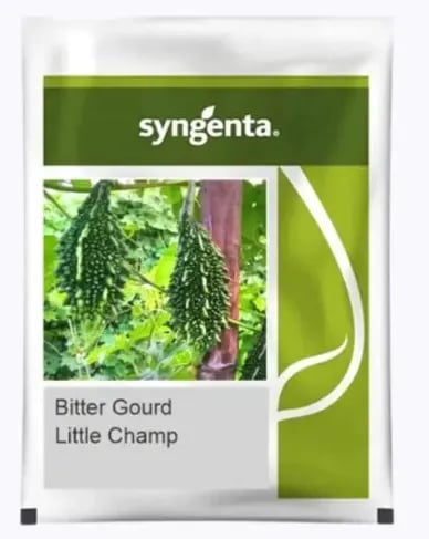 Syngenta Little Champ Hybrid Bitter Gourd Seeds
