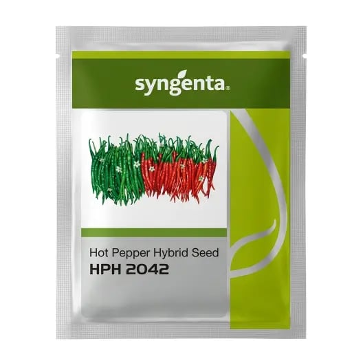 Syngenta HPH-2042 Hybrid Hot Pepper, Chilli Seeds