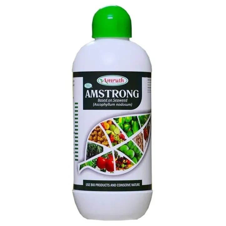 Amruth Amstrong Based On Seaweed Extract (Ascophyllum nodosum) Plant Growth Promoter