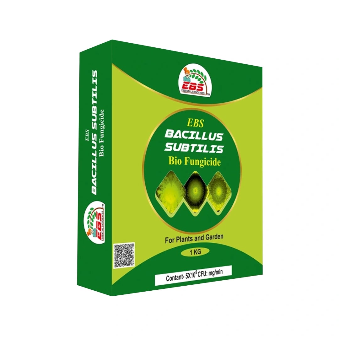ईबीएस बैसिलस सबटिलिस, बायो फंगीसाइड पाउडर, पौधों और घर के बगीचे के लिए डाउनी मिल्ड्यू, पाउडरी मिल्ड्यू और जीवाणु जनित रोगों को नियंत्रित करता है