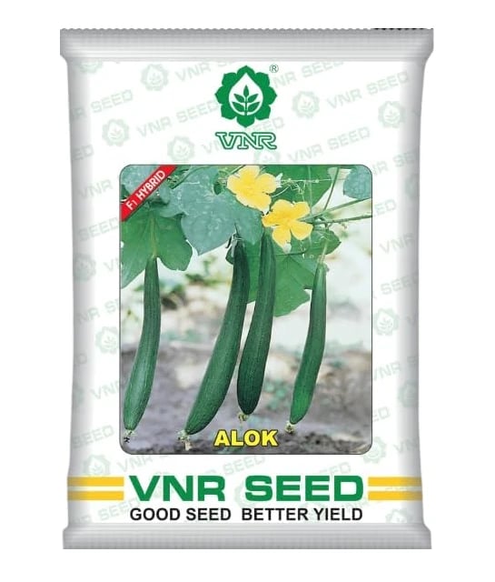 VNR Sponge Gourd Alok F1 Hybrid Seeds, Gilki ke Beej, Very High Yielding, Best In Germination.