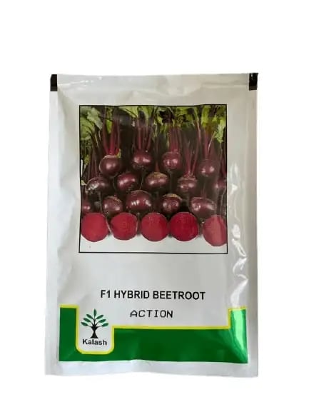 Kalash F1 Hybrid Action Beetroot Seeds, Early Maturity and High Yield Variety
