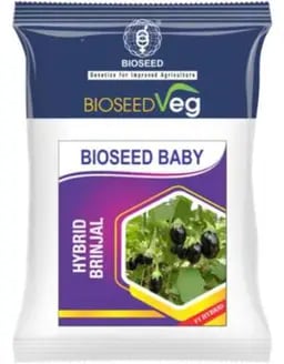 Bioseed Veg Baby F1 Hybrid Brinjal Seeds