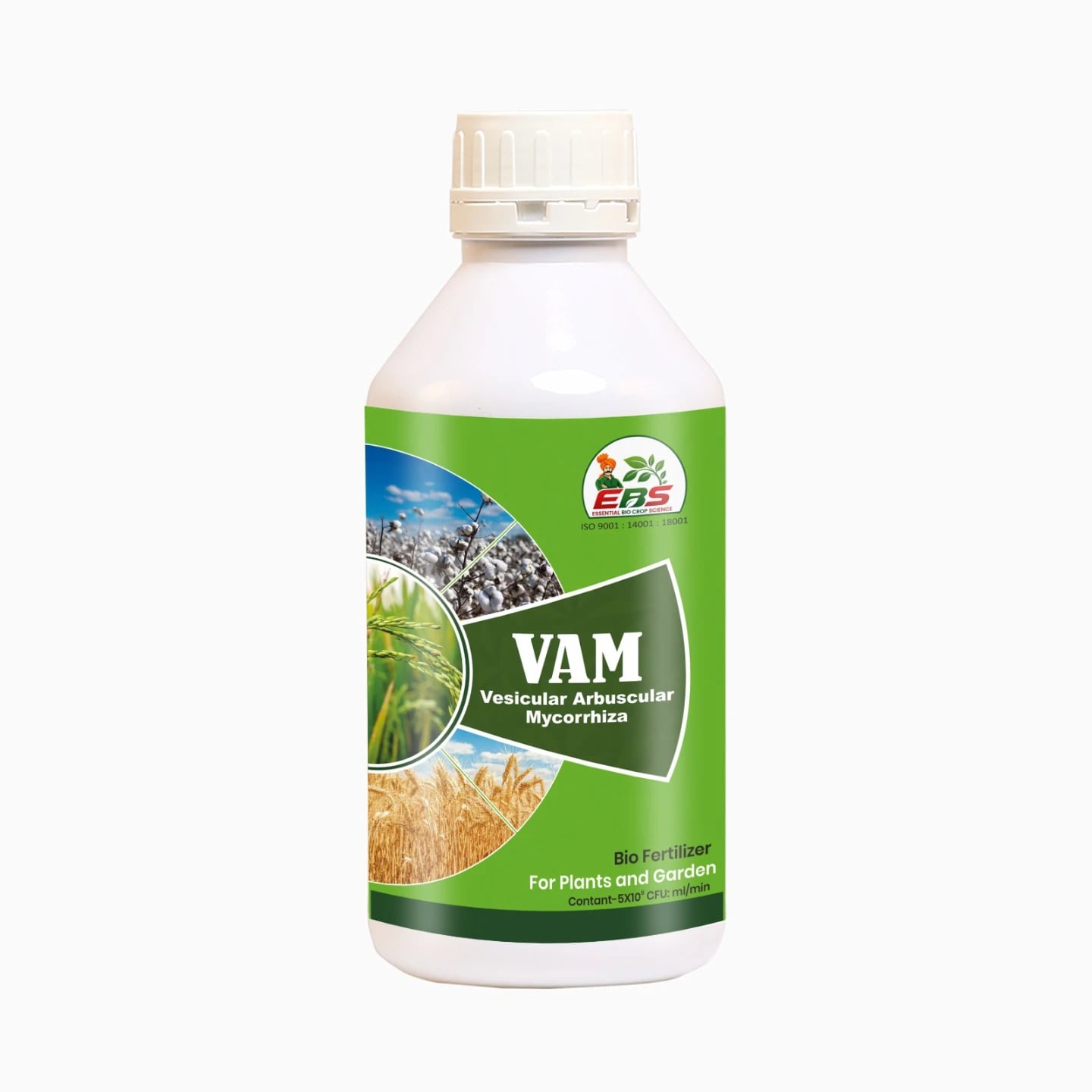 EBS VAM ಜೈವಿಕ ಗೊಬ್ಬರ (ವೆಸಿಕ್ಯುಲರ್ ಆರ್ಬಸ್ಕ್ಯುಲರ್ ಮೈಕೋರೈಜಲ್) ನಿಮ್ಮ ಹೊಲ ಮತ್ತು ತೋಟದ ಮಣ್ಣಿನ ಫಲವತ್ತತೆ ಹೆಚ್ಚಿಸಲು