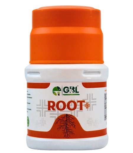 GBL Root+ Vesicular Arbuscular Mycorrhiza, Enhanced Root Growth, Nutrient Uptake And Soil Health