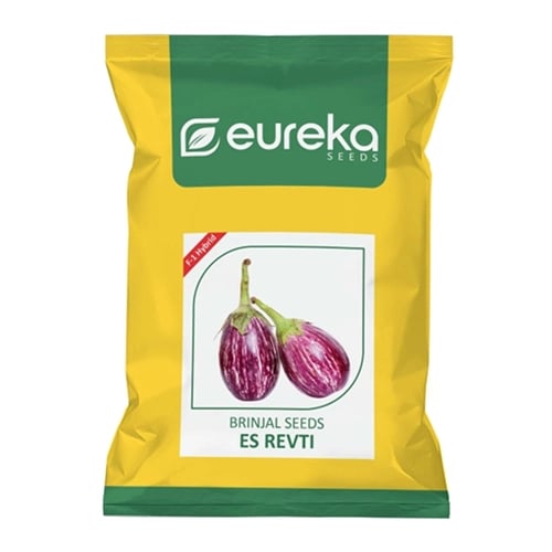 Eureka ES REVTI F1 Hybrid Brinjal Seeds, Purple Variegated, Oval Shape Fruits