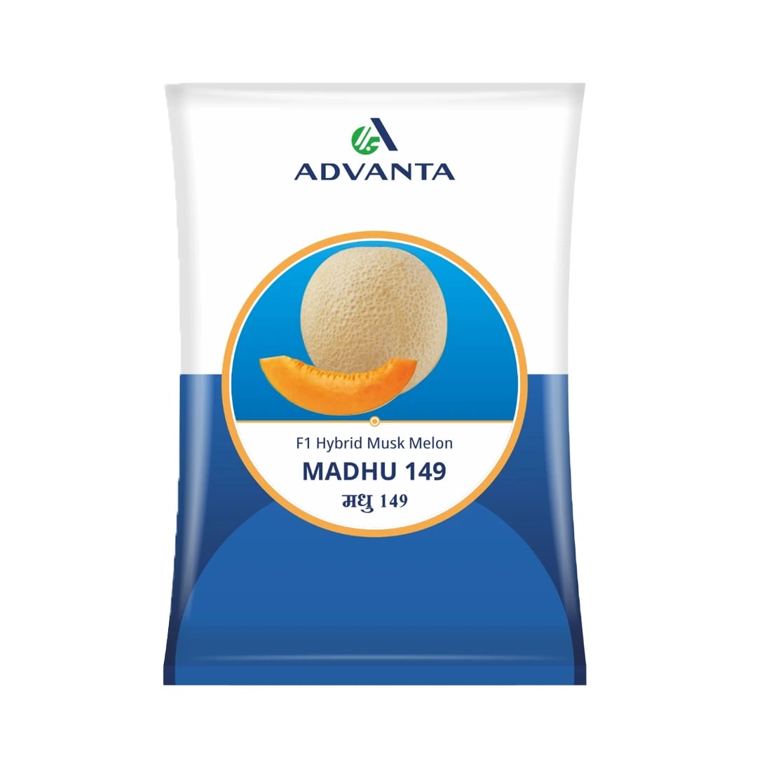 Advanta Madhu 149 Muskmelon Seeds - (Kharbuja Seeds)