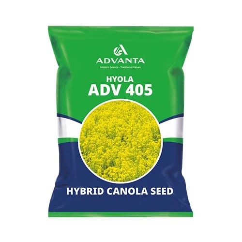 Advanta HYOLA ADV 405 F1 Hybrid Mustard Seeds, High Oil Content