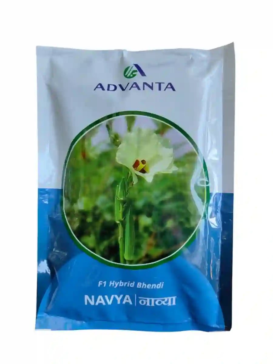 Advanta Navya F1 Hybrid Bhendi Seeds