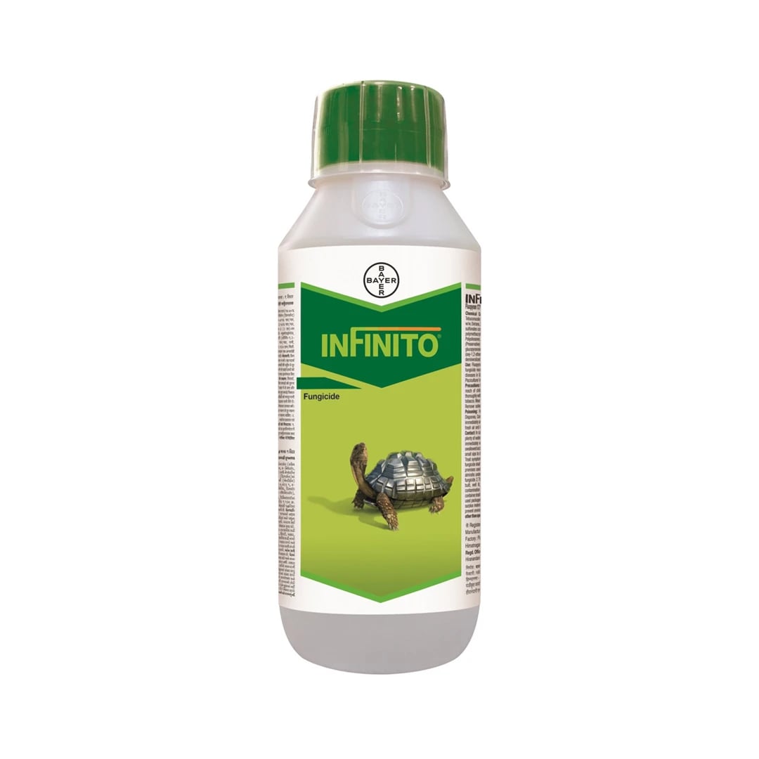 Bayer Infinito Fungicide - Broad Spectrum Systemic Fungal Disease Control in Potato, Tomato, Cucumber & Onion