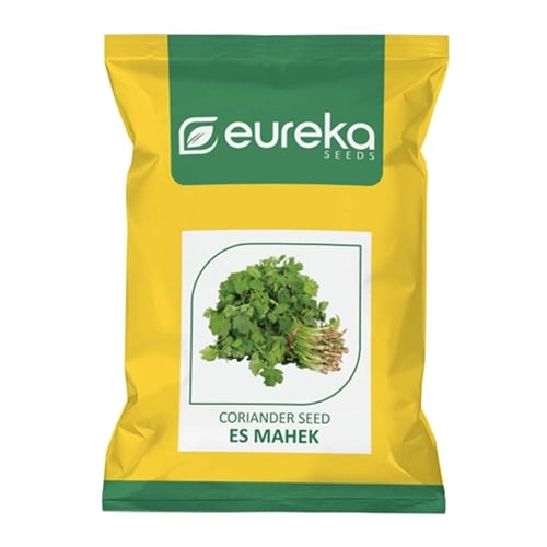 Eureka ES MAHEK Improved Hybrid Coriander Seeds, High Yield, Multi-Cut Variety
