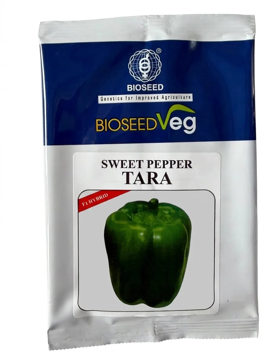 Bioseed Sweet Pepper Tara F1 Hybrid Seeds - High Yield Capsicum Vegetable Seeds