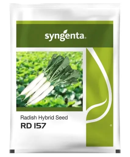 Syngenta RD 157 Hybrid Radish Seeds