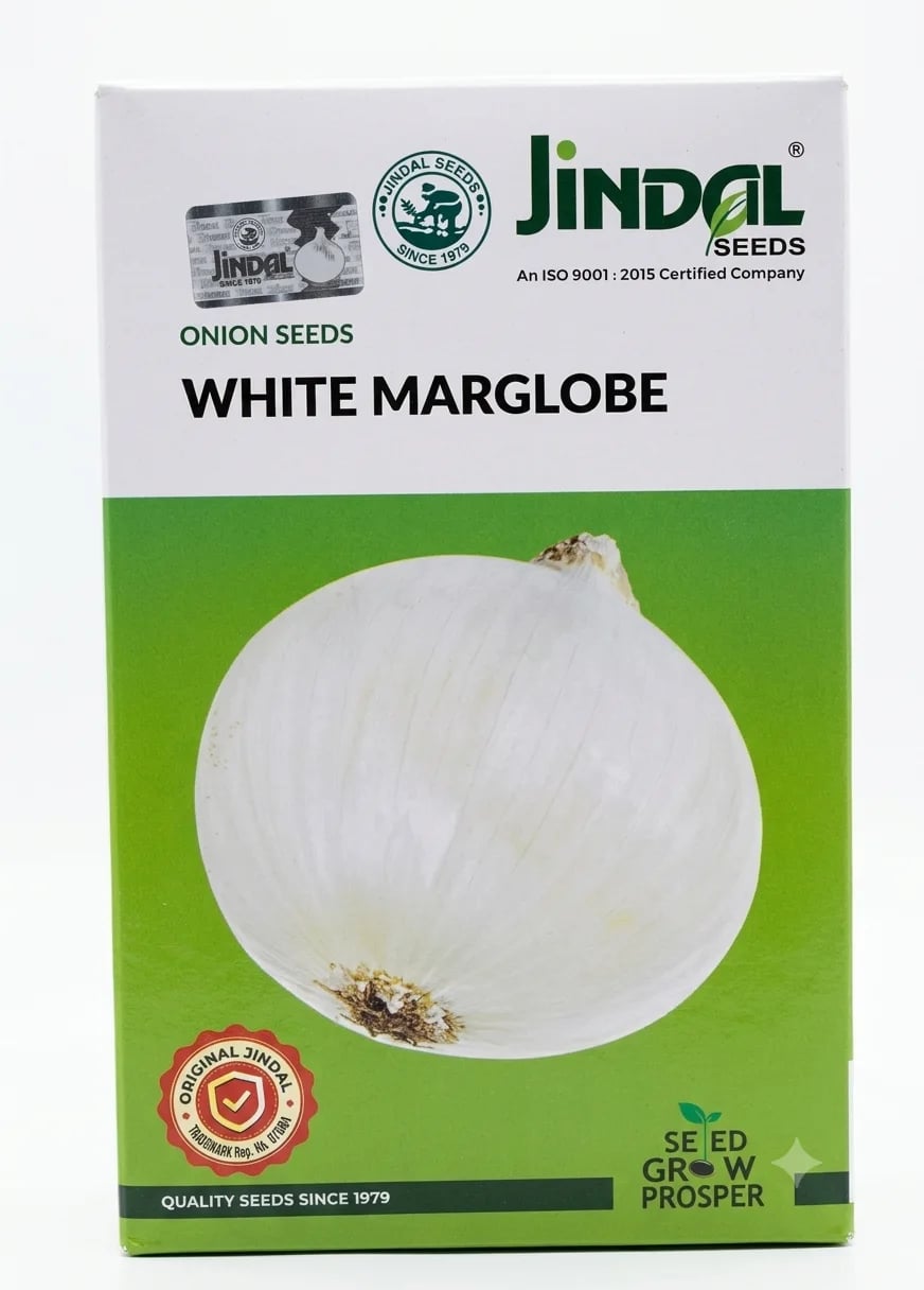 Jindal Seeds White Marglobe Onion Seeds Premium Quality Vegetable Seeds