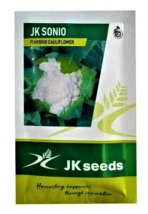 JK సోనియో కాలీఫ్లవర్ విత్తనాలు - (గోభి విత్తనాలు) అధిక దిగుబడి, తెగులు తట్టుకునే, నునుపైన కర్డ్