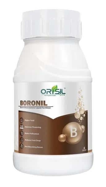Annadata Boronil Boron Ethanolamine Fertilizer For Crop Growth
