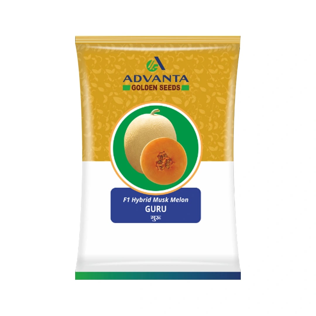 Advanta Guru Muskmelon Seeds - (Kharbuja Seeds)