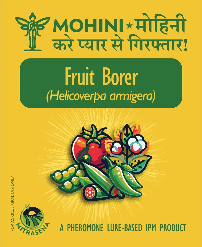 பயோவால் மோஹினி பிங்க் பால்வார்ம் பெக்டினோஃபோரா காசிபியெல்லா ஃபெரமோன் லூர் - பருத்தி பயிருக்கு