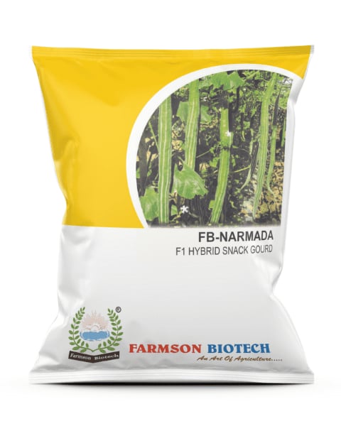 Farmson FB Narmada F1 Hybrid Snack Gourd Seeds, High Yielding, Silver Green Straight Fruits, Tall Vines