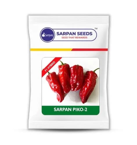 Sarpan F1 Hybrid Chilli Piko 2 Seeds, The Best Green - Red Variety, Mirchi ke Beej.