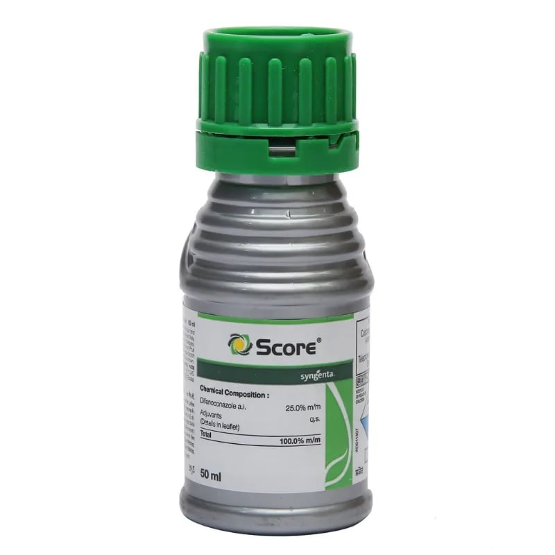 Syngenta Score Fungicide
