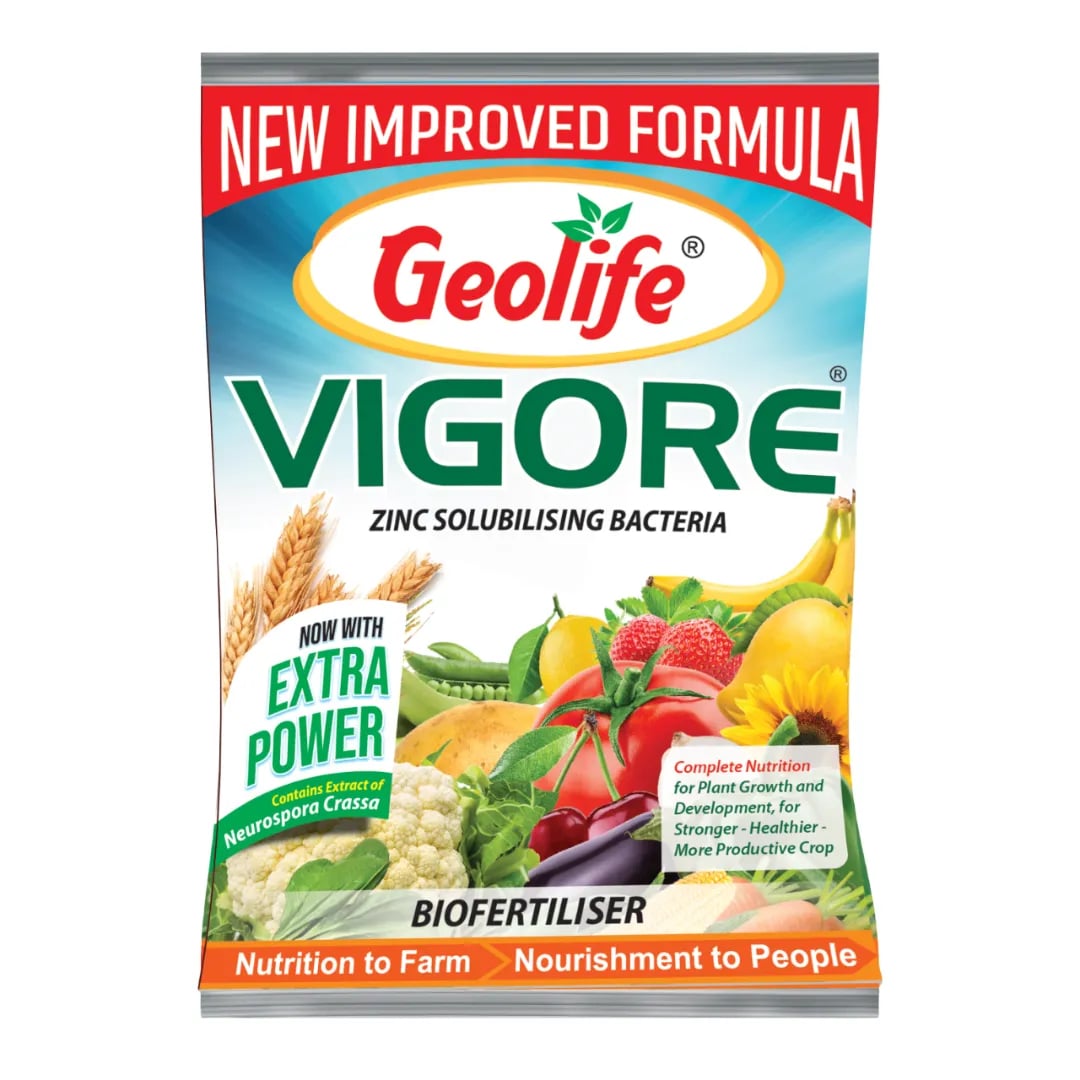 Geolife Vigore Zinc Solubilizing Bacteria Bio-Fertilizer, Enhanced Growth, Yield And Soil Health