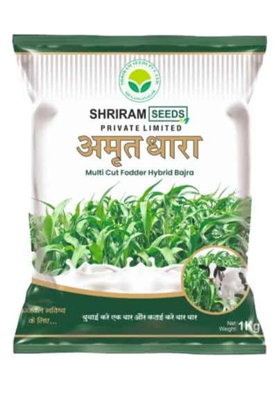 Shri Ram Amrut Dhara Multi Cut Fodder Hybrid Bajra Seeds