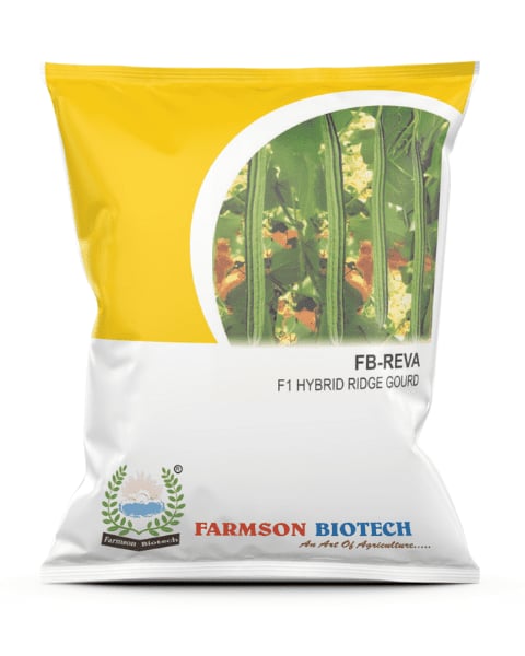 Farmson FB Reva F1 Hybrid Ridge Gourd Seeds, Tolerant To High Disease and Pest, Semi-Spreading Vines Growth