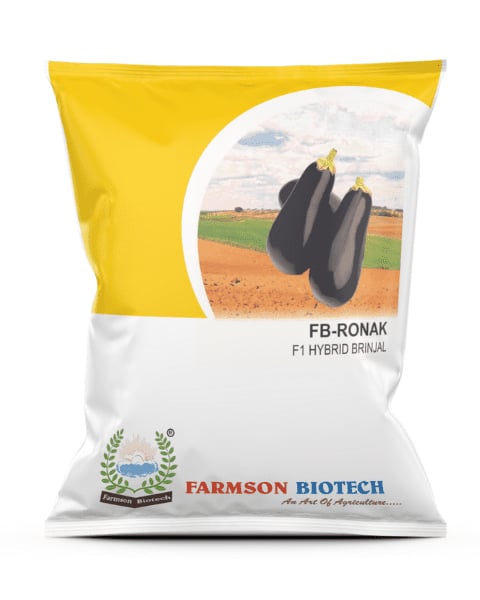 Farmson FB-Ronak Brinjal Seeds - (Baingan Seeds) High Yielding, Dark Violet and Long-Lasting Fruit