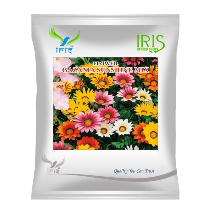 Iris Gazania Sunshine Mix Hybrid OP Flower Seeds, Imported, Mix Flower Colour, Long Flowering Plants