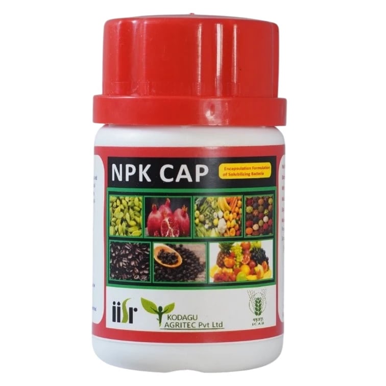 Kodagu NPK Cap Biofertilizer, Nitrogen Fixing, Phosphorus Solubilising And Potassium Mobilizing Bacteria, Effective For All Crops