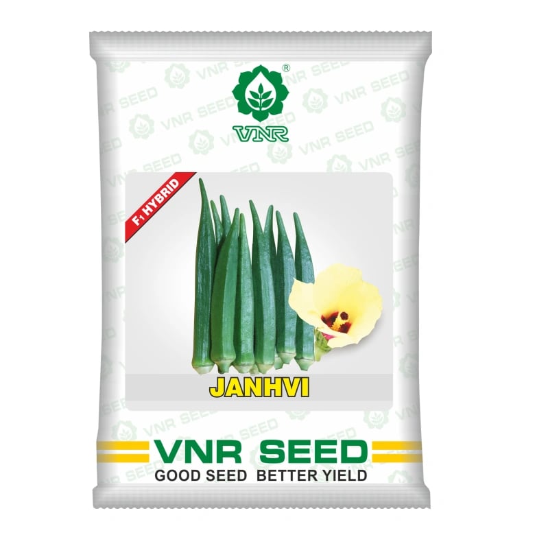 VNR Janhvi Bhindi (Okra) Seeds