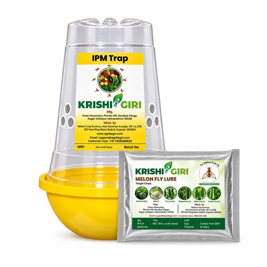 Krishigiri Melon Fly Lure (Bactrocera Cucurbitae) With IPM Trap, Attracts Male Melon Fruit Flies, Protecting Cucurbit & Vegetable Crops