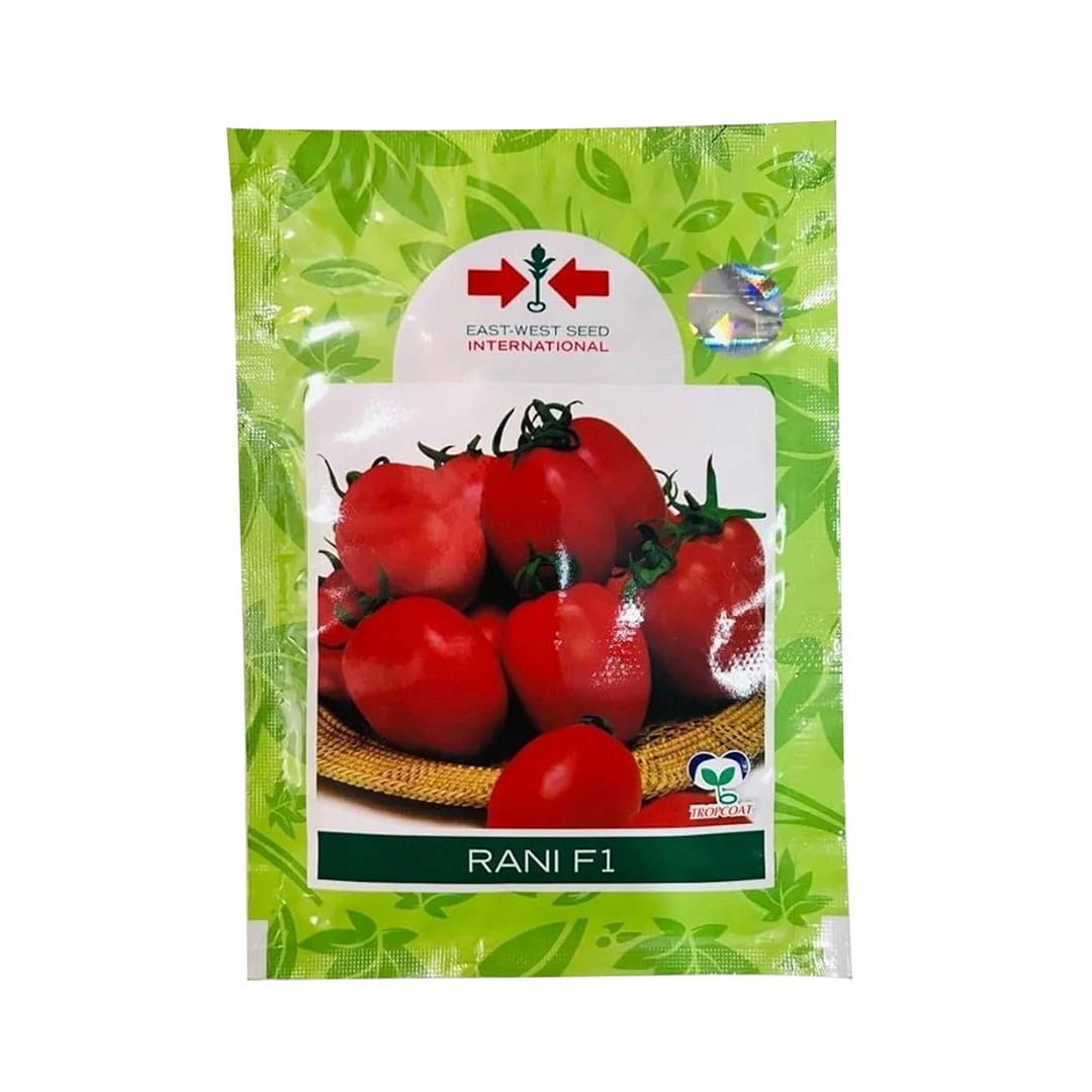 East West Rani Tomato (Tamatar) Seeds