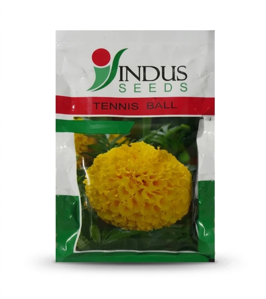 Indus Marigold Tennis Ball Seeds, Genda Fool Seeds , Lemon Yellow Colour Flower , Very Heavy Yeild