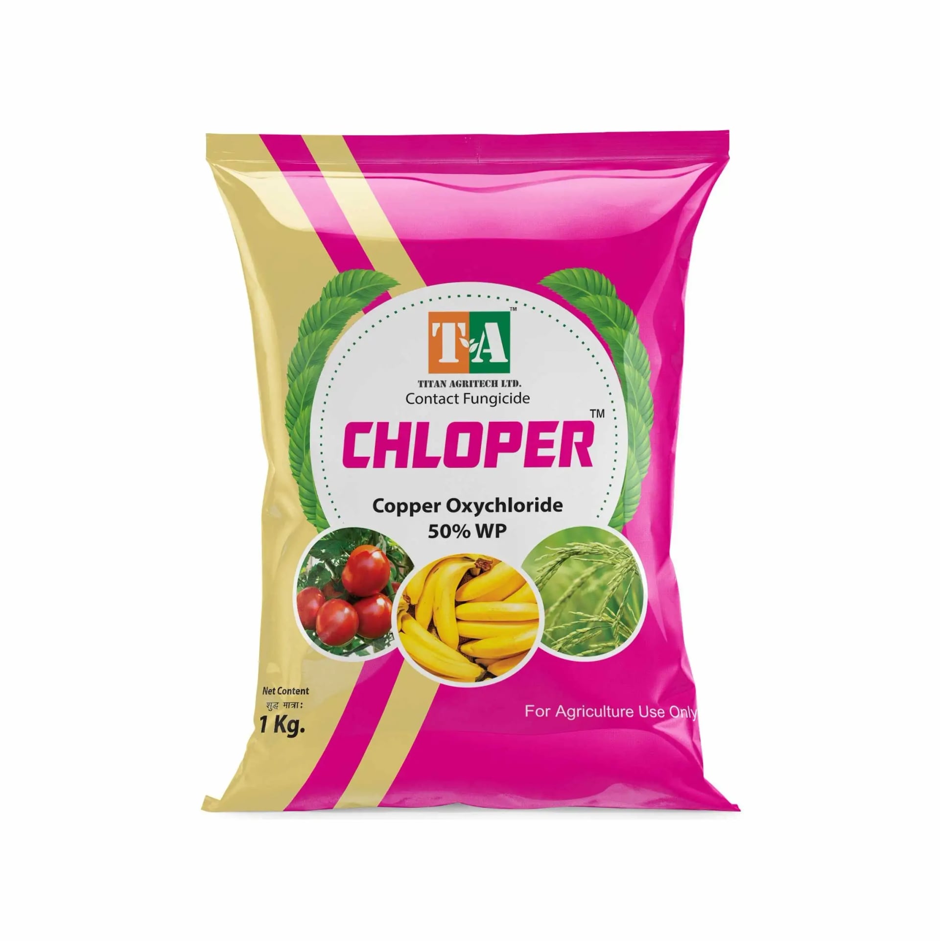 Titan Agritech CHLOPER Copper Oxychloride 50% WP Fungicide, Effective For A Long Time And Prevent The Pest Attacks