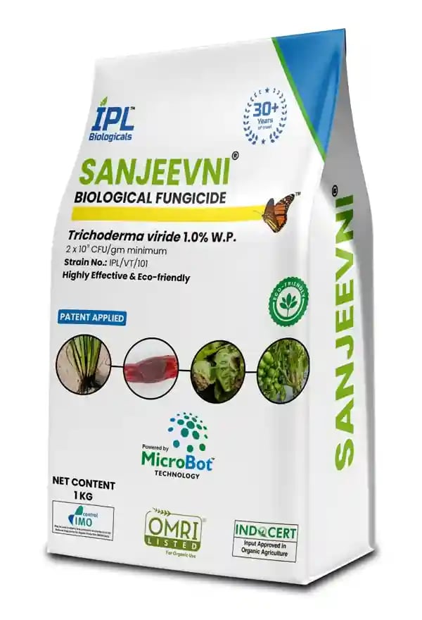 IPL Sanjeevni Trichoderma viride 1.0% WP Bio Fungicide, Protects Crops From Soil-Borne Fungal Diseases