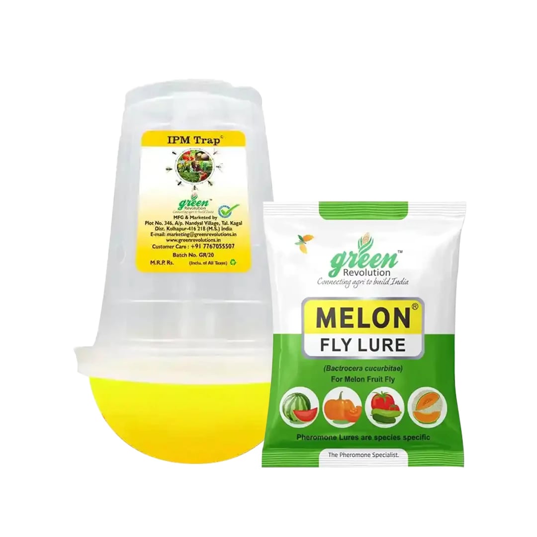 आईपीएम ट्रैप विथ मेलॉन फ्लाई फेरोमोने ल्यूर, बैक्ट्रोसेरा कुकुर्बिटे को नियंत्रित करने के लिए। खीरा, लौकी, करेला, कद्दू, तरबूज़ के लिए उपयोगी।