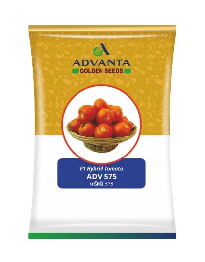Advanta ADV 575 Tomato Seeds - (Tamatar Seeds) High TYLCV Tolerant, Suitable For Summer Season