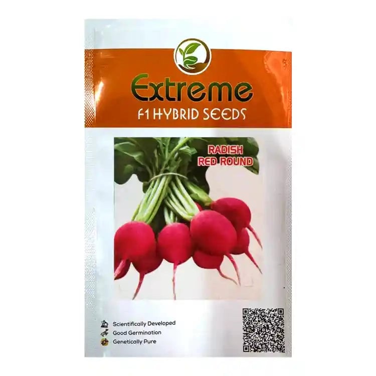 Extreme F1 Hybrid Red Round Radish Seeds, Quick Growing Scarlet Red Roots  