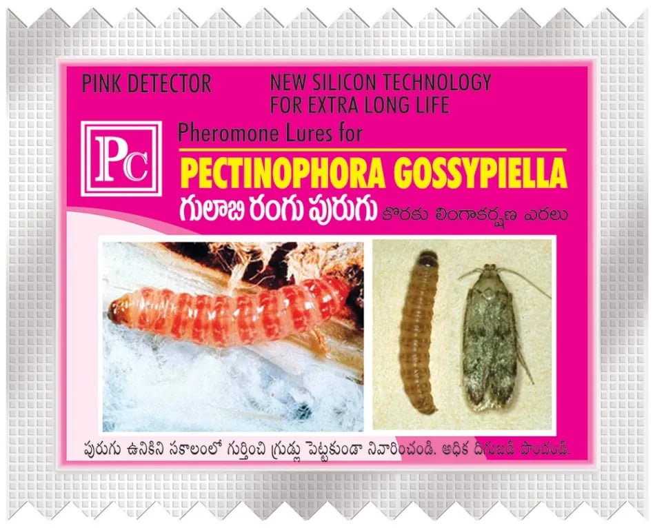 Pheromone Trap With Pectinophera Gossypilla Lure (10 Pack) Trap and Lure, Complete Set for Cotton Pink Bollworm, Protects Crops From Harmful Pests